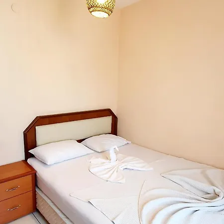 Palmen 3*