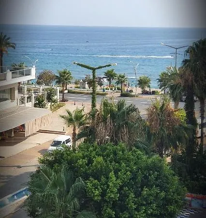 Palmen 3*