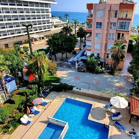 Palmen 3*