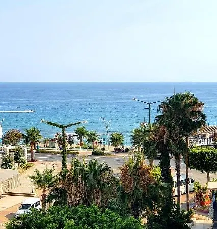Palmen 3*
