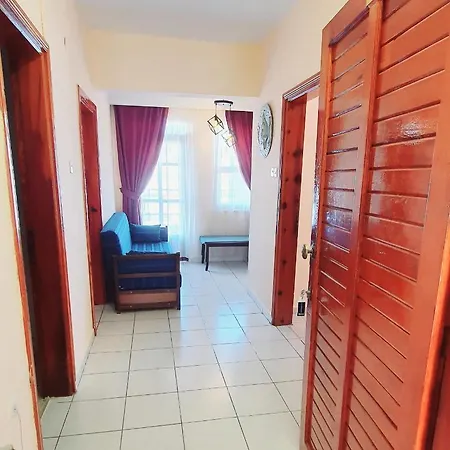 Palmen 3*