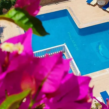 Palmen Alanya