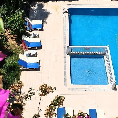 Palmen 3* Alanya