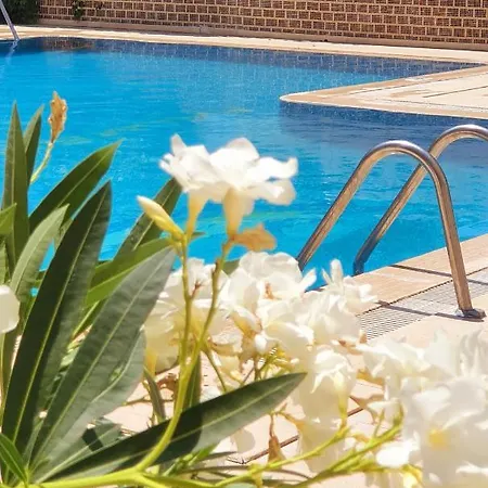 Lejlighedshotel Palmen