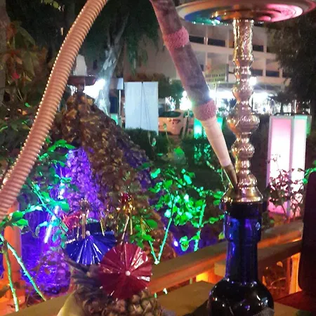 Lejlighedshotel Palmen