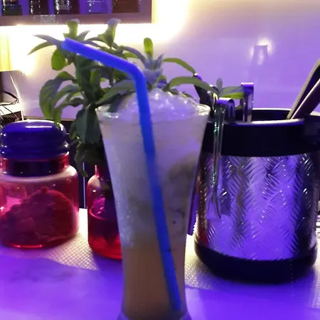 Palmen 阿拉尼亚
