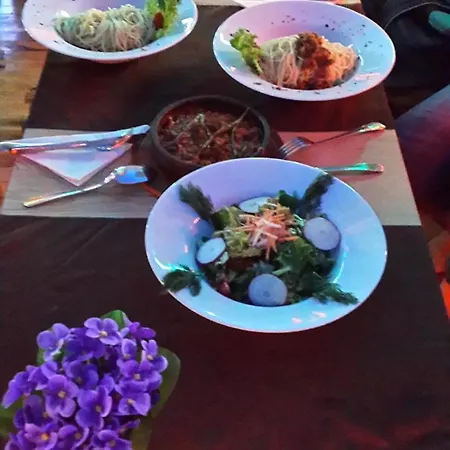 Palmen Alanya
