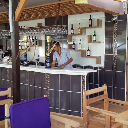 Palmen Lägenhetshotell