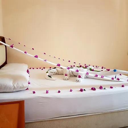 Lägenhetshotell Palmen 3*
