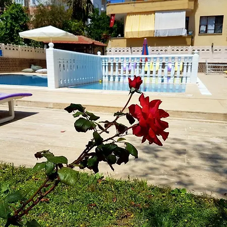 Lägenhetshotell Palmen Alanya