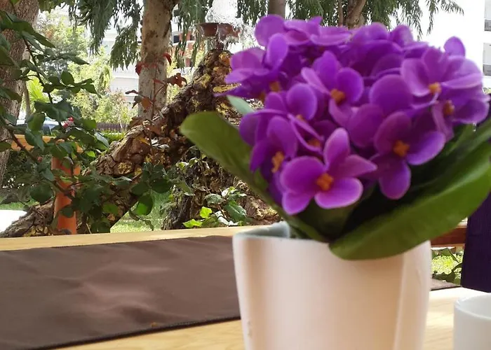 Apartmanhotel Palmen