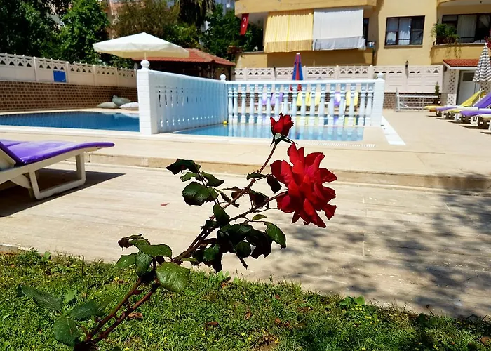 Hotel de apartamente Palmen Alanya