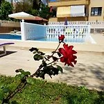 Apart-hotel Palmen Alanya