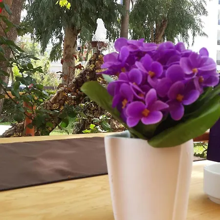 公寓式酒店 Palmen